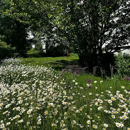 Vully Panorama 3 Schlafzimmer Nahe Bern Lejlighed *