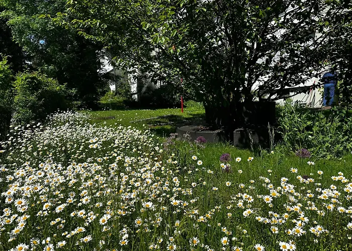 Vully Panorama 3 Schlafzimmer Nahe Bern 아파트 *